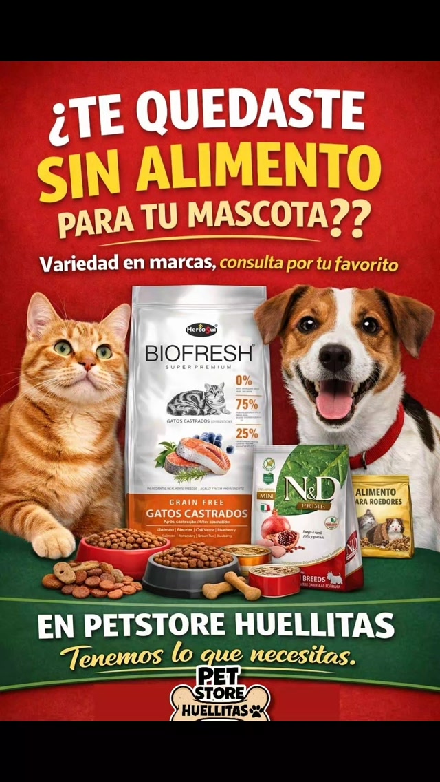 Alimento Perros