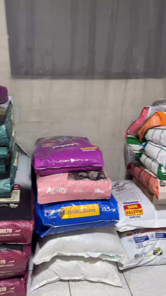 Alimento Gatos